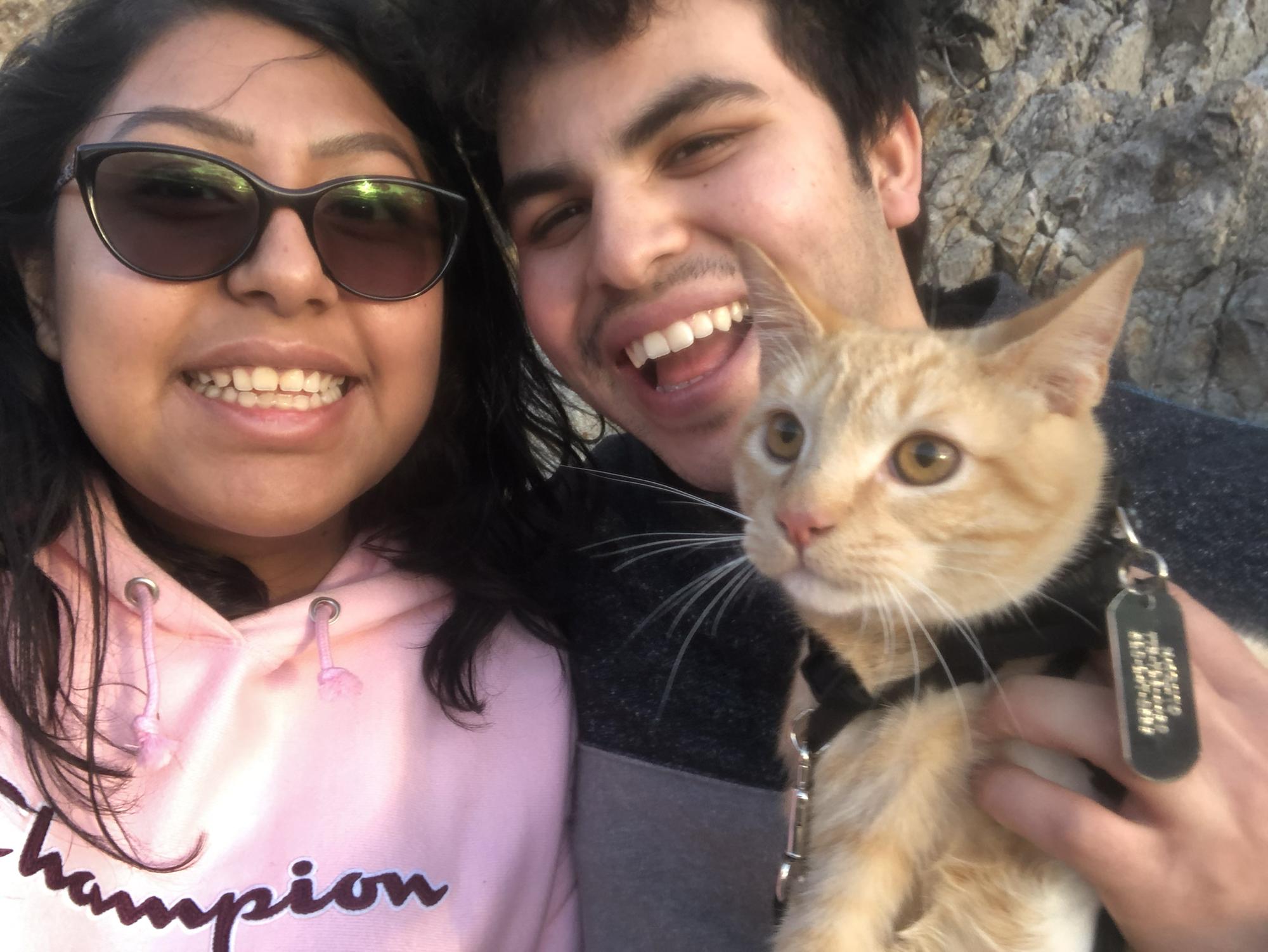 We loved going to Mount Lemmon with our Orange boy, Naruto 🧡