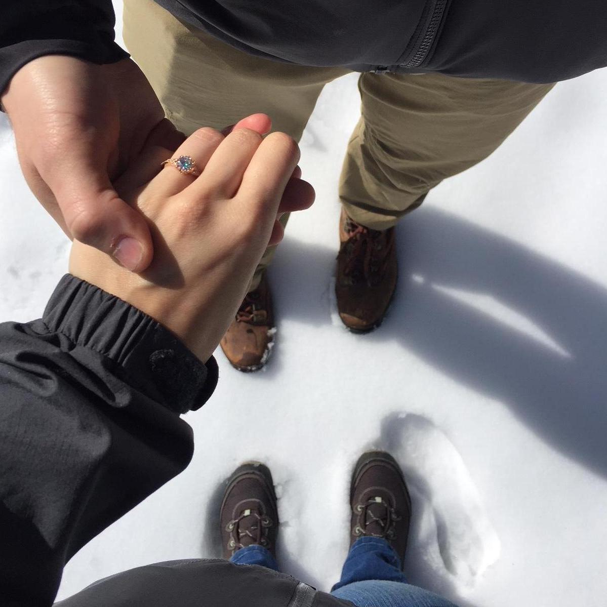 Alpine Engagement 2017