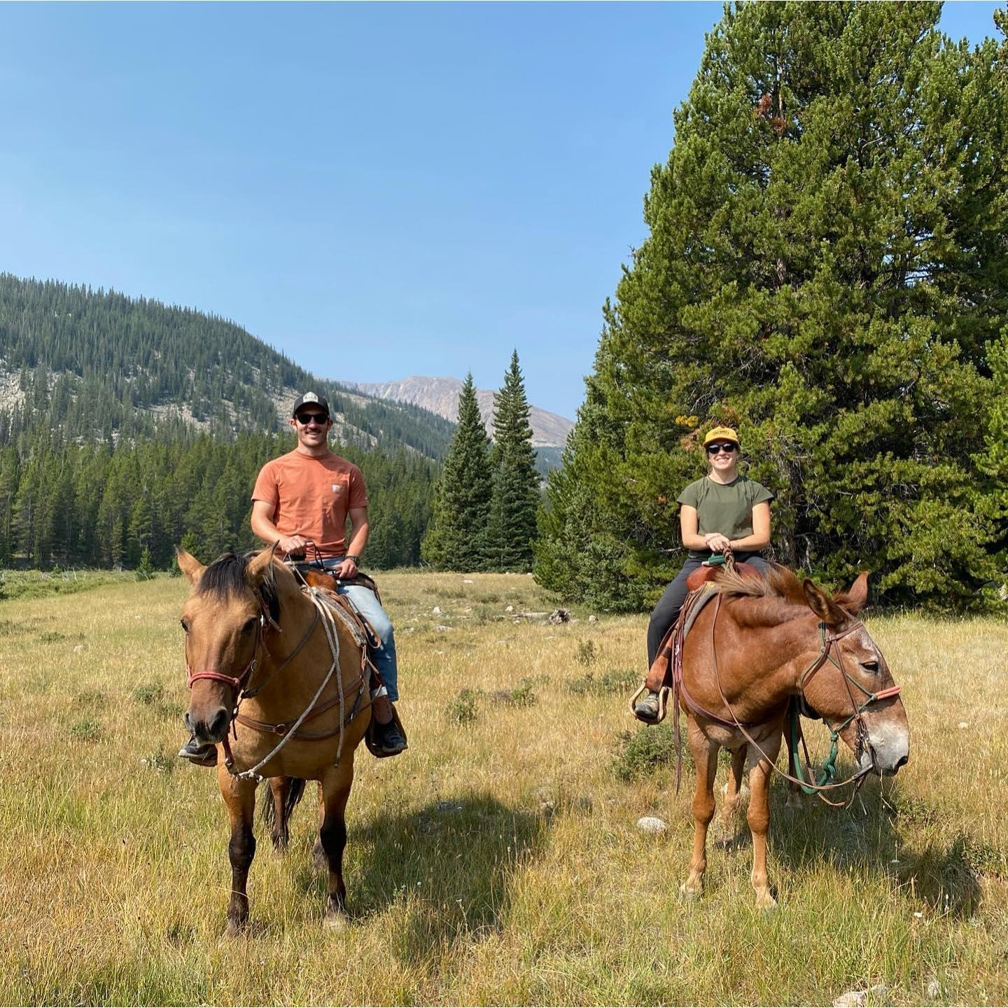 Wyoming Horse pack trip