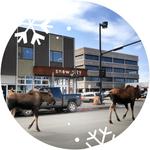 Snow City Cafe (Food)