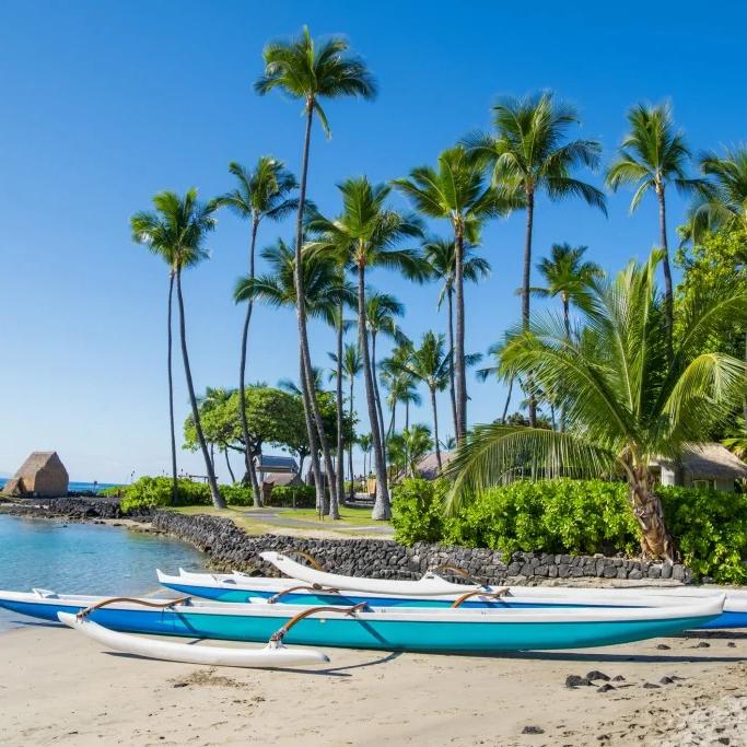 Our Honeymoon Fund - Hawaii (Kona)