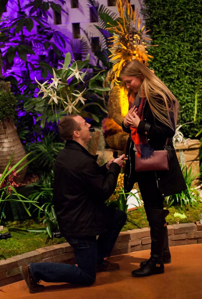 2/13/2020, our 6 year anniversary, he proposed at the Missouri Botanical Gardens at their Orchid Show. Fun Fact : His favorite flowers are Orchids!