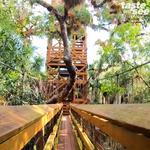 Myakka River State Park Canopy Bridge