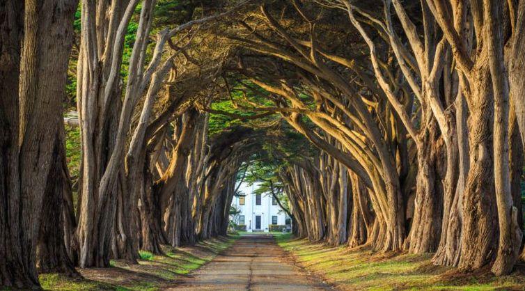 The Wedding Website of Rachel Caryn Baer and Liv Mae Costello