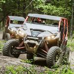 The Shepherd of the Hills