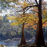 Lake Kissimmee State Park