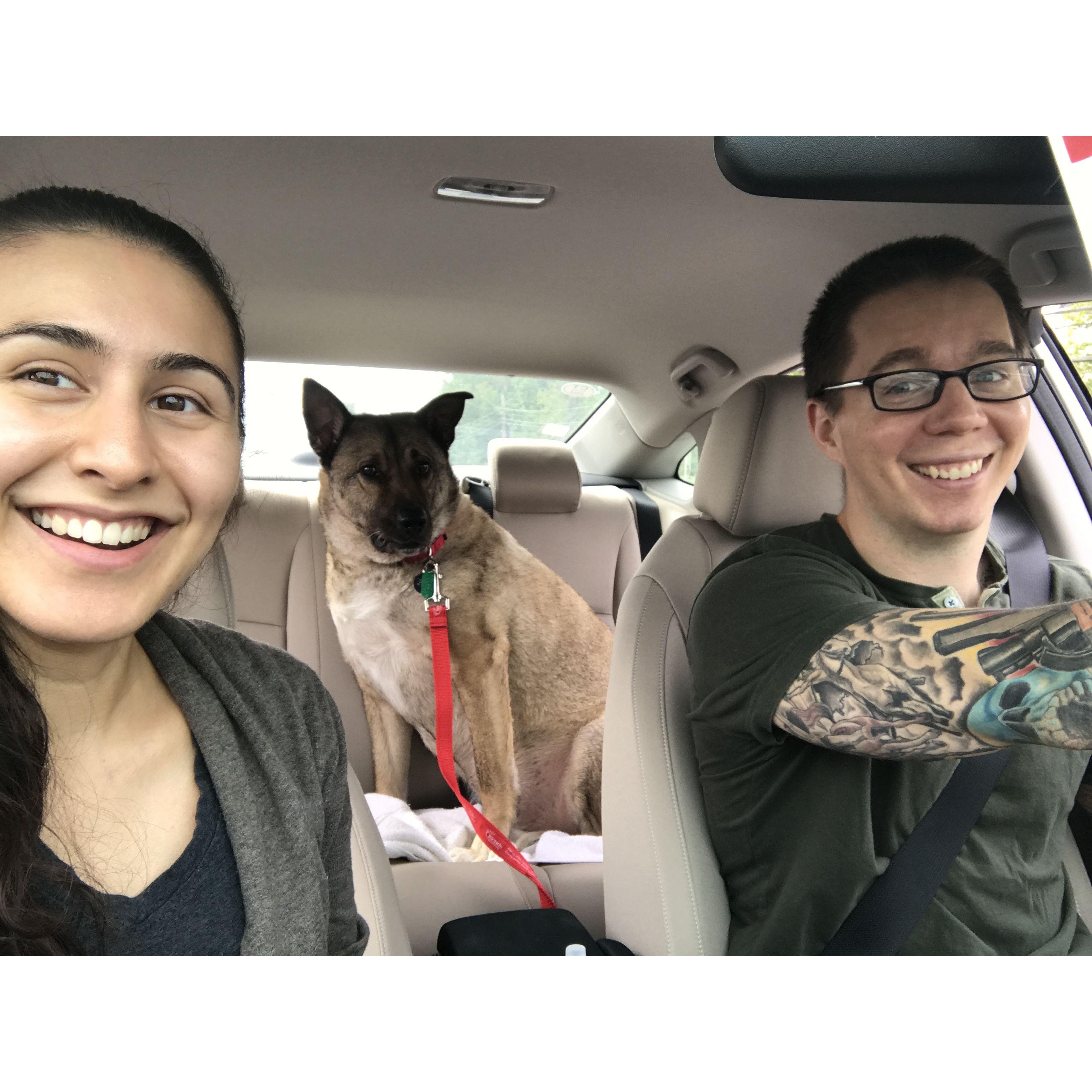 Adopting our first dog, Vinny - Fall 2017
