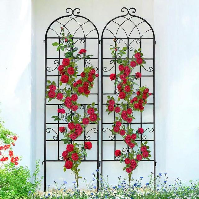 Generic Metal Garden Trellis for Climbing Plants, 71 x 19.7 inches, 2 Pack, Black, Rustproof, Easy Assembly, FBA-PTJ-2PCS