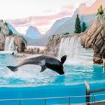 SeaWorld Orlando