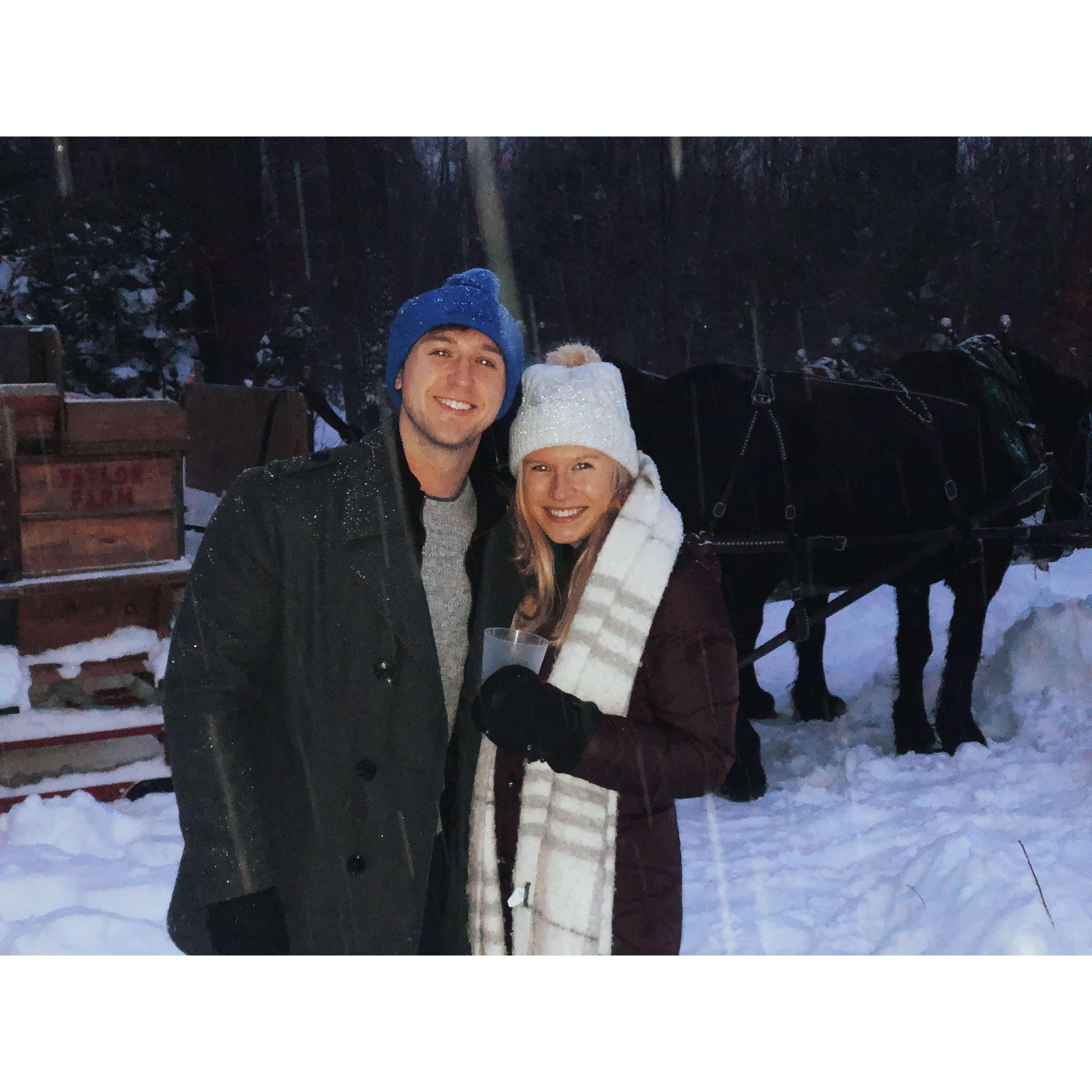 Horse Drawn Sleigh in Vermont