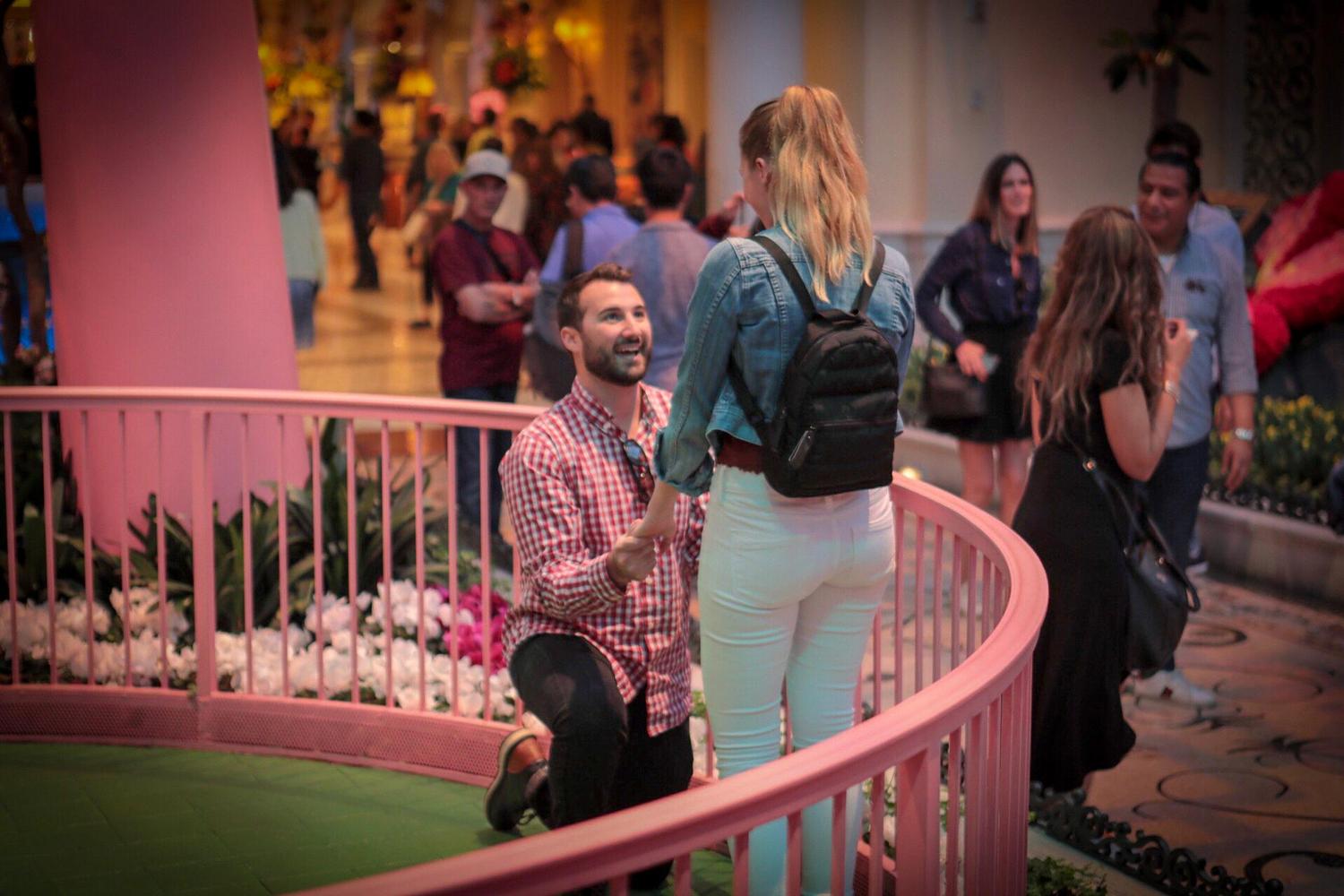 The proposal
