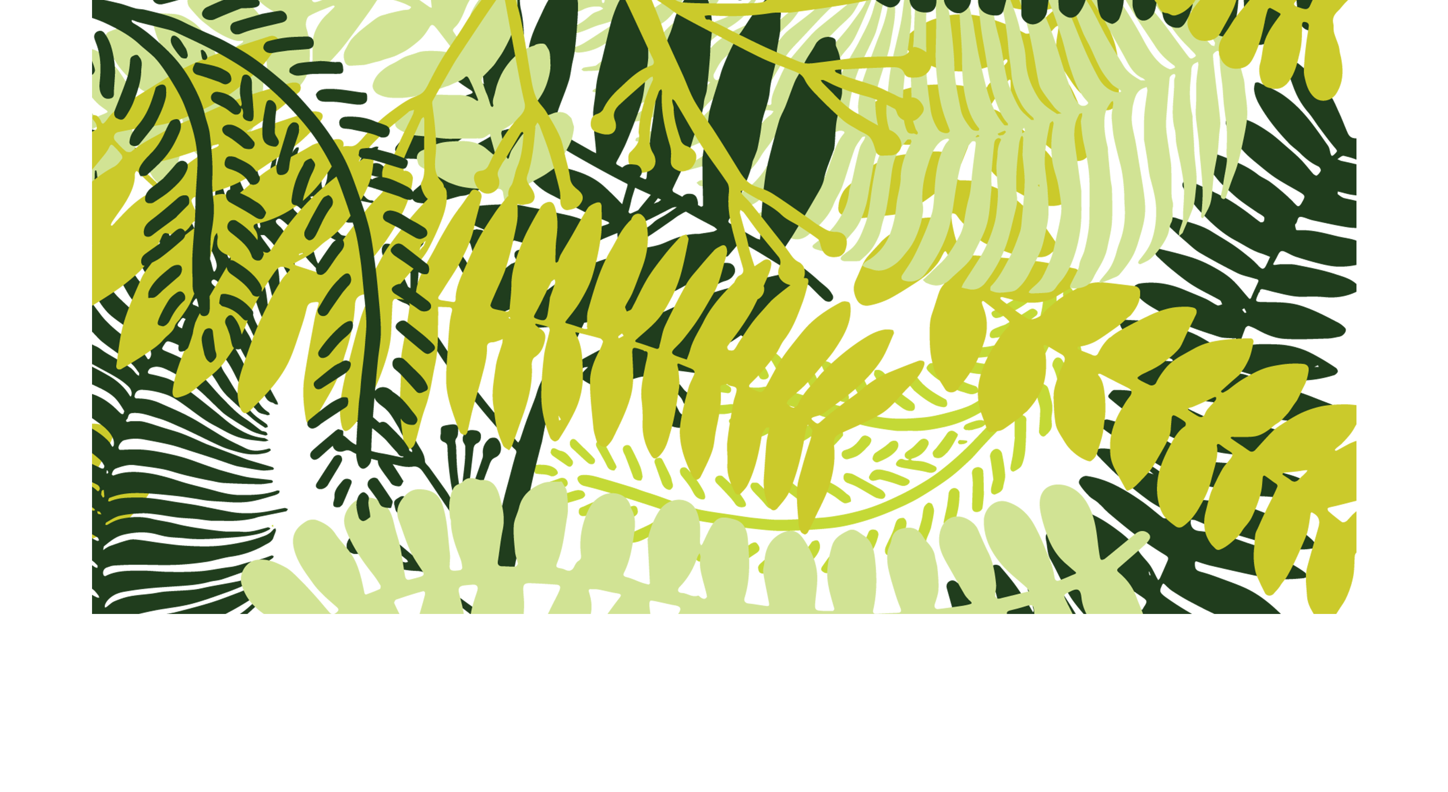 Footer image