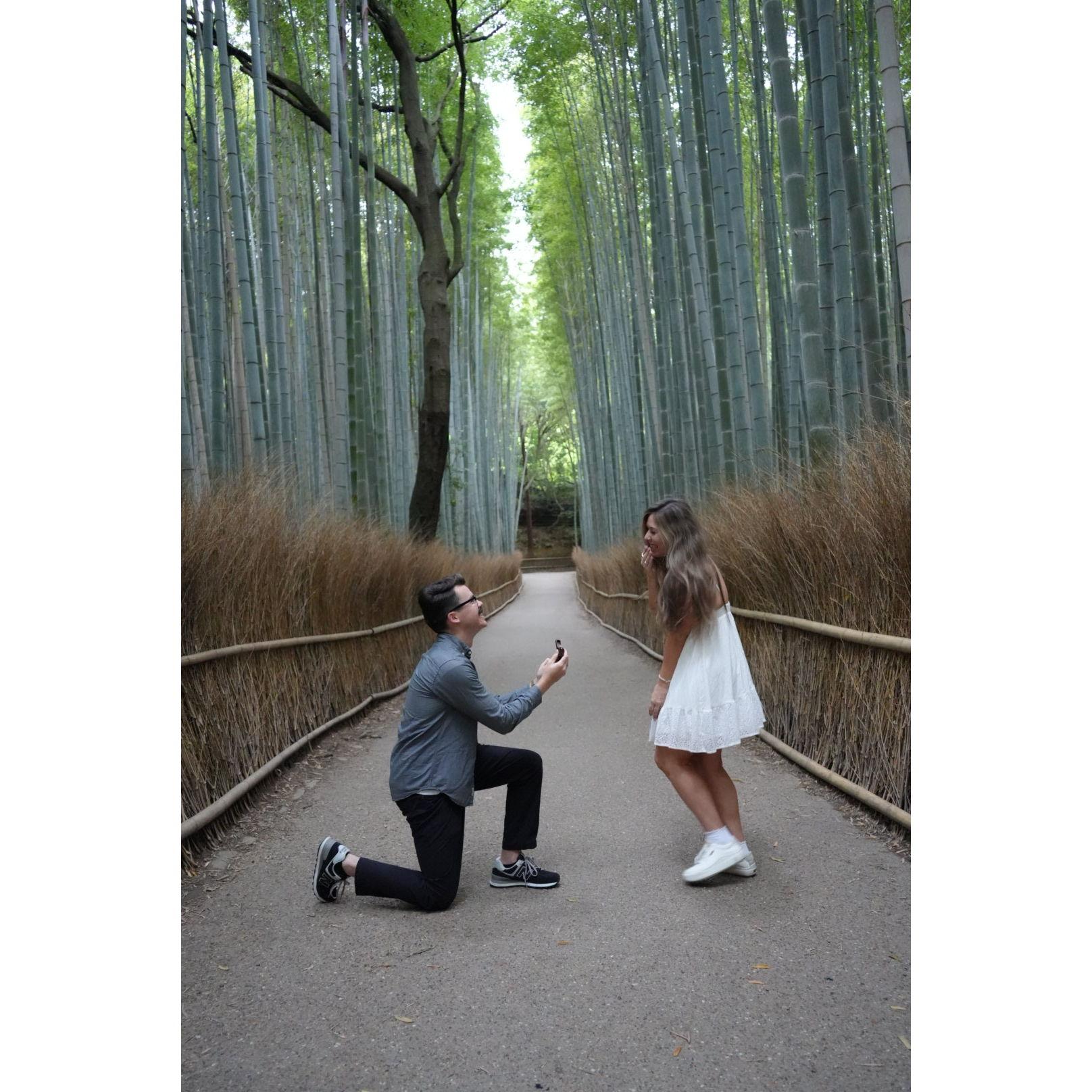 Our engagement in Japan