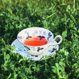 Wild Strawberry Teacup & Saucer