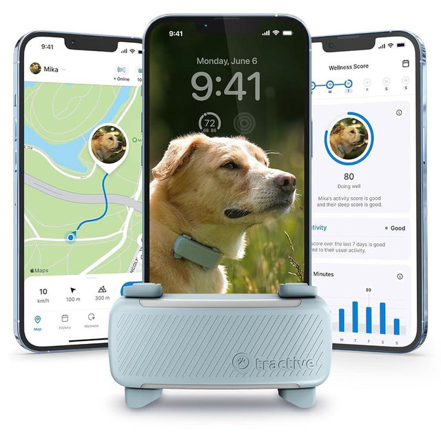 Tractive GPS Dog Tracker (2025 Release) | Real-time Pet Location Tracker | Health & Wellness Alerts | Virtual Fence for Dogs | Bark Monitoring | Dog Collar Attachment (Mint)