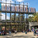 Los Angeles Zoo