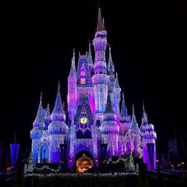 Our Disney Honeymoon Fund