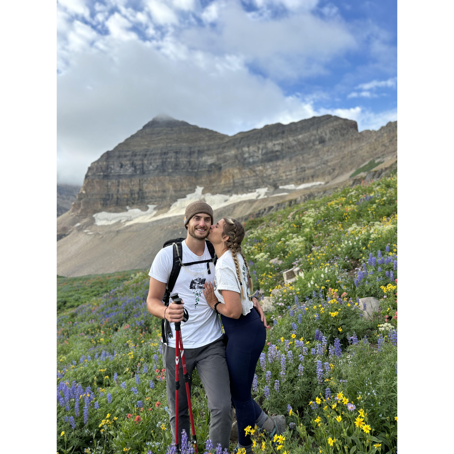 Mout Timp Meadow