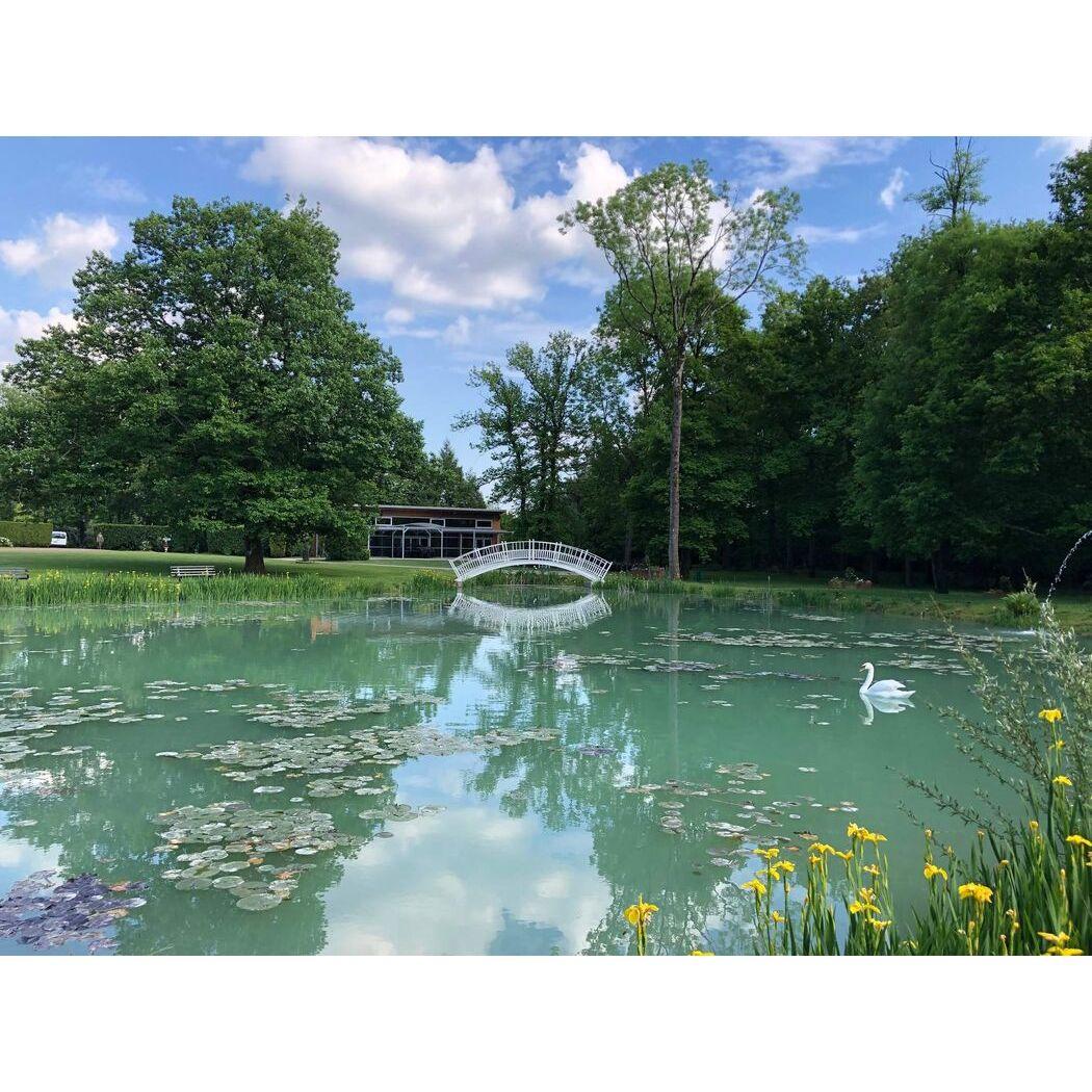 Le lac du Domaine de la Muette, traversé par un petit pont, offre un cadre paisible et naturel, parfait pour se détendre ou prendre des photos en plein air.