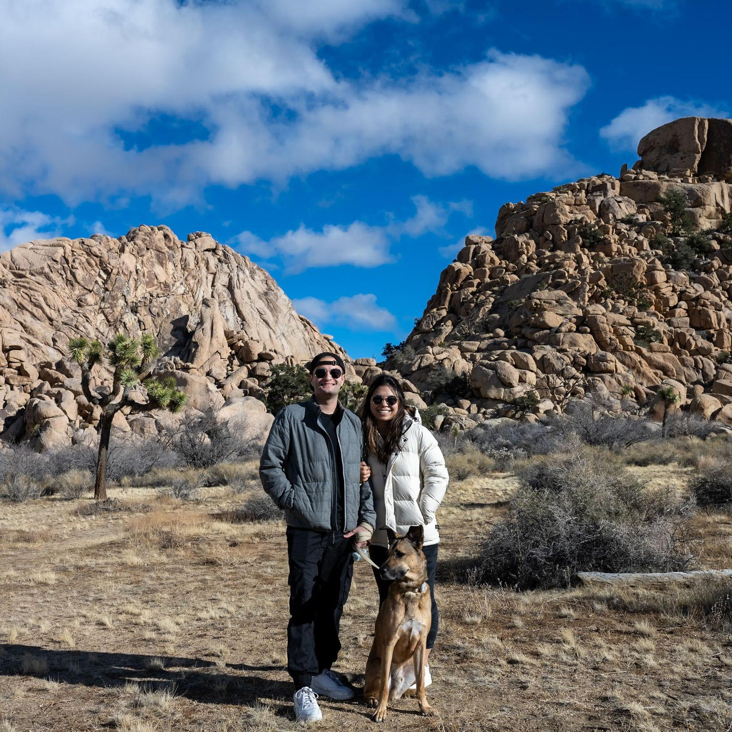 Another trip to Joshua Tree/ Palm Springs in 2023