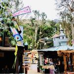 Sawdust Art Festival