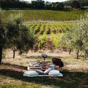 Picnic in Tuscany for Two