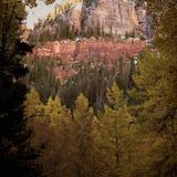 Bear Creek Falls