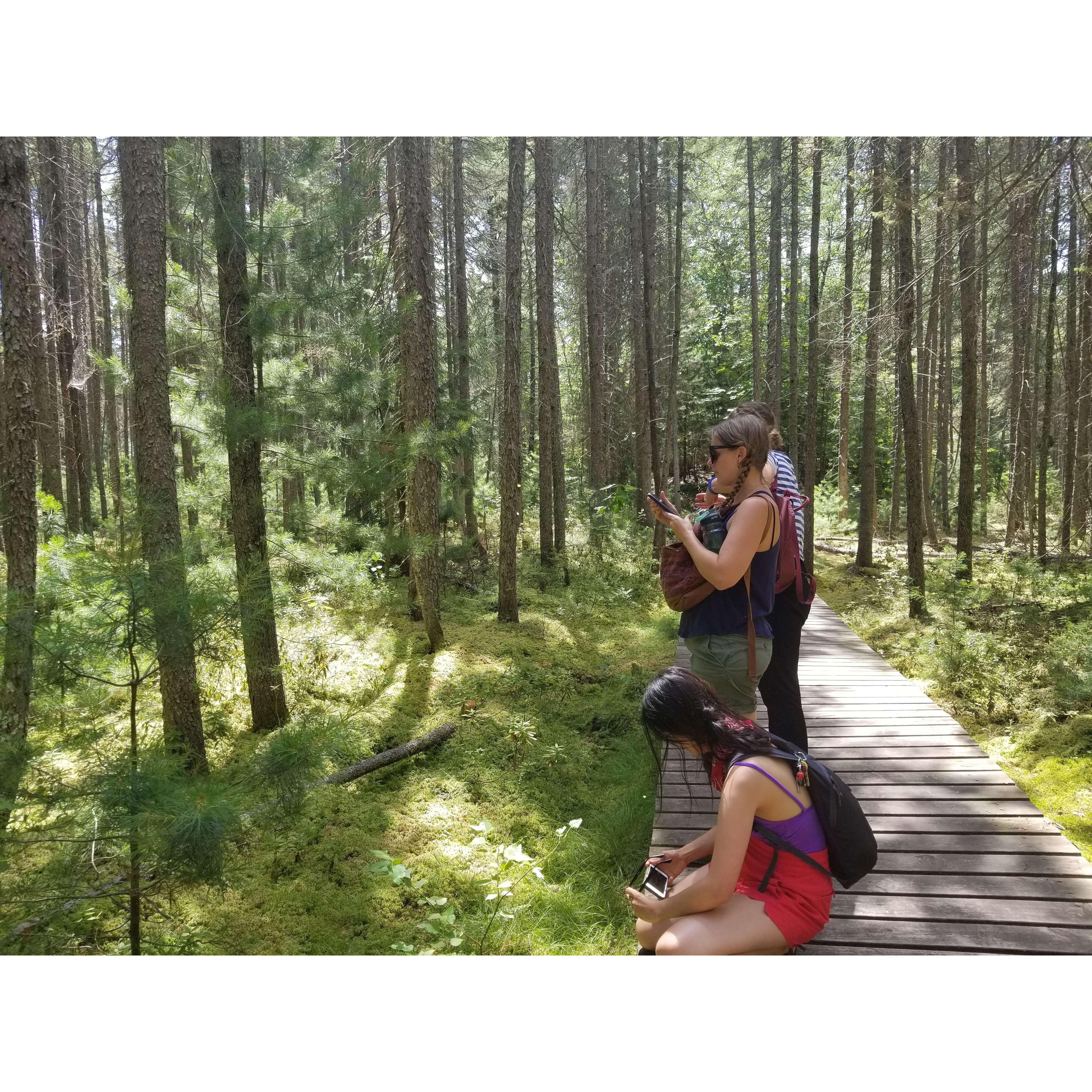 Hiking Star Lake 