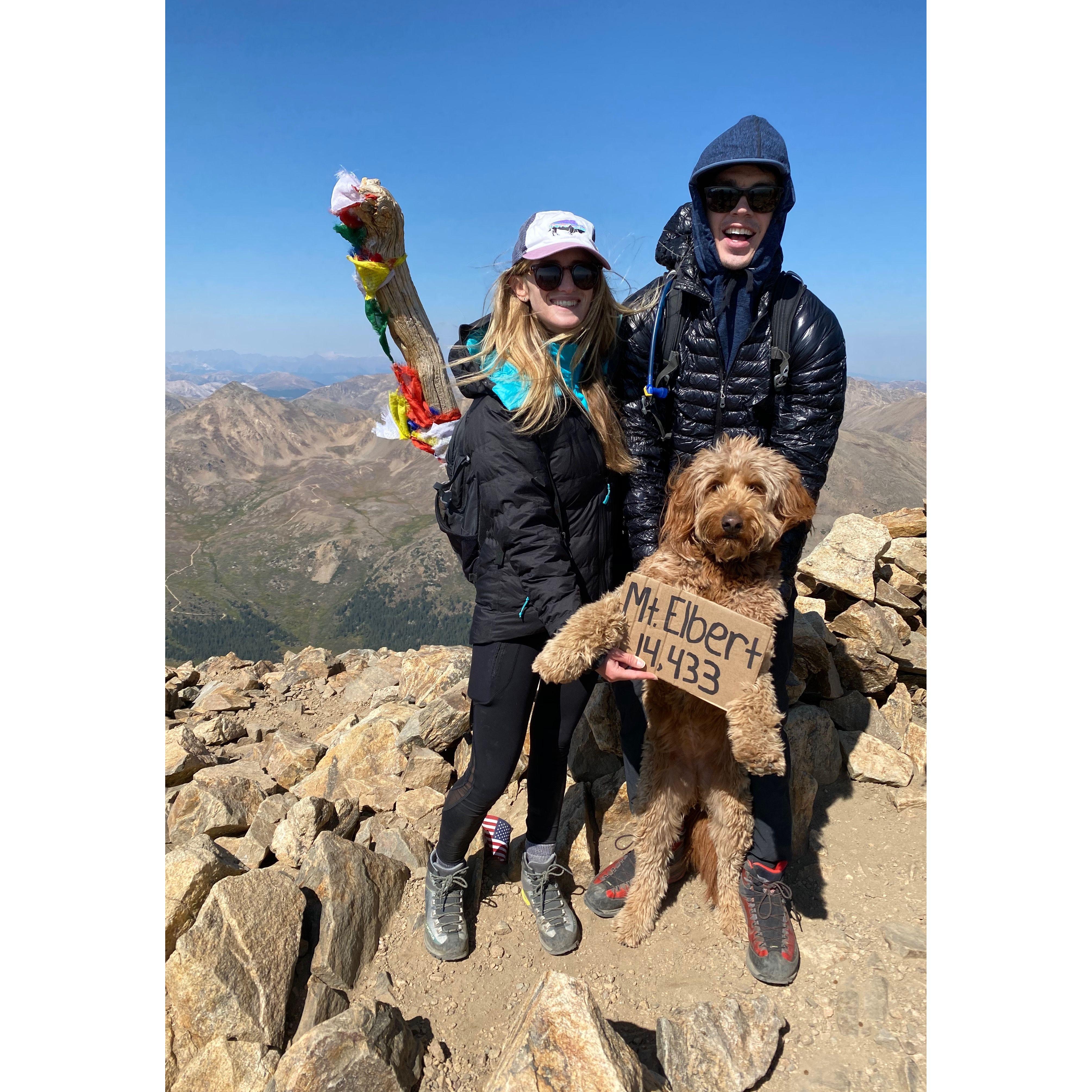 With Ollie (pup) - Mt Elbert, Colorado