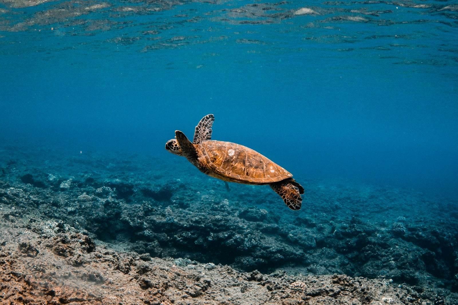 85bfd11e-e41c-45a4-8e24-393e1ee06424