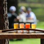 H.A. Brewing Co.