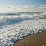 Nauset Beach
