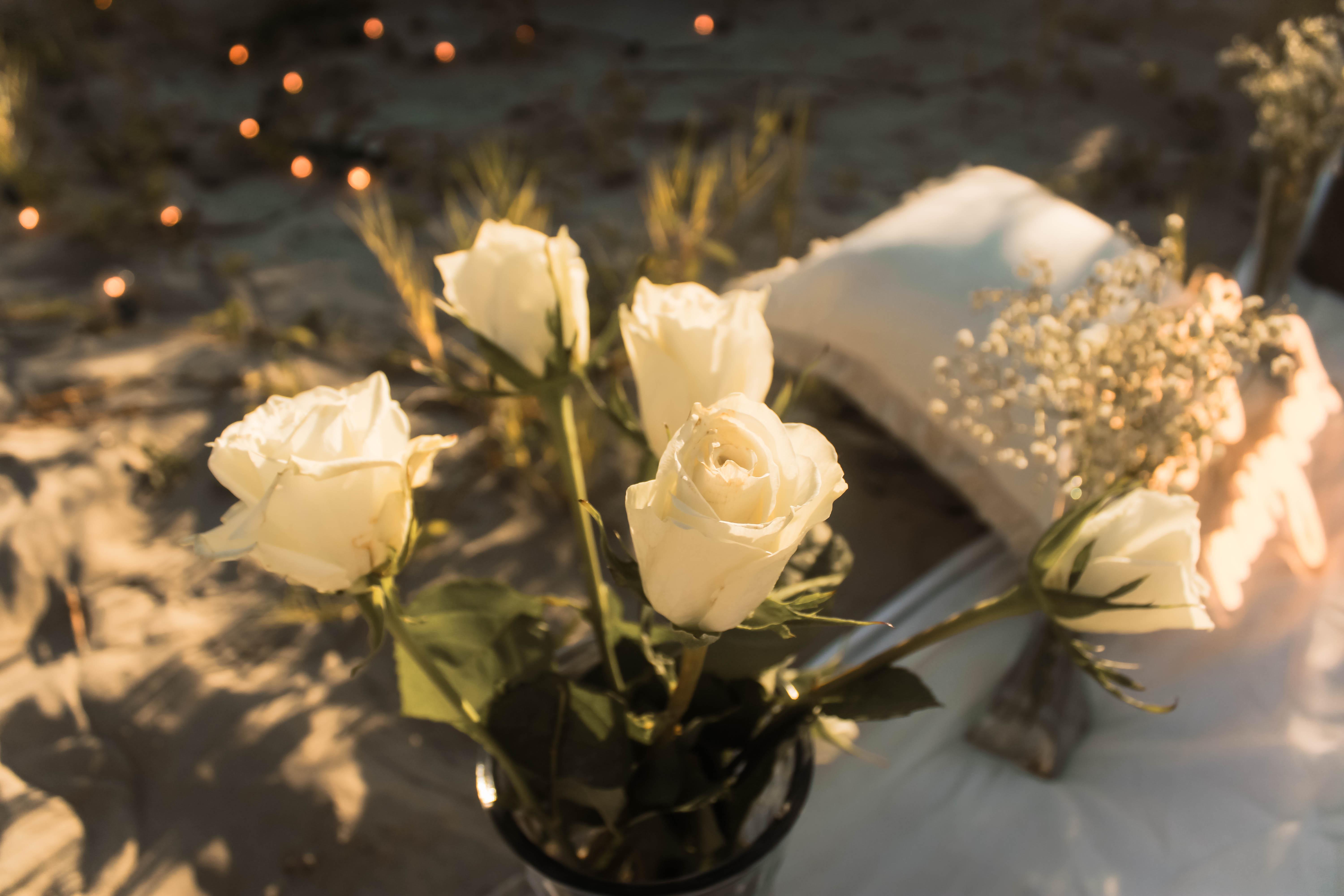 The Wedding Website of Rachel Dwyer and Brendan Corr