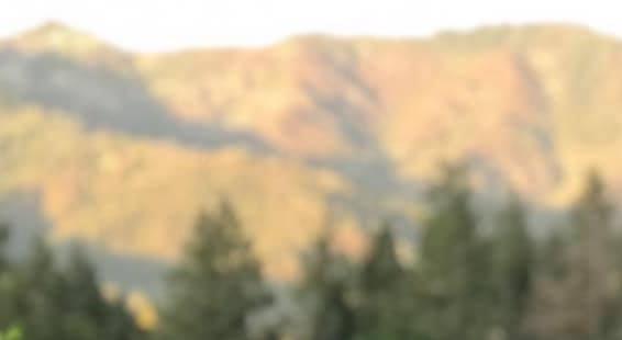 Footer image