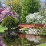 Dow Gardens and the Whiting Forest of Dow Gardens