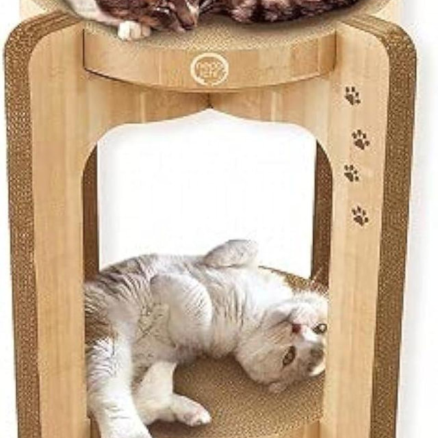 Necoichi Cat Scratcher Tower for Indoor Cats - Cat Scratching Post Lounger with Reversible Usability and Extra Comfort for Lounge, Cardboard Bed Couch / (Regular, Oak)