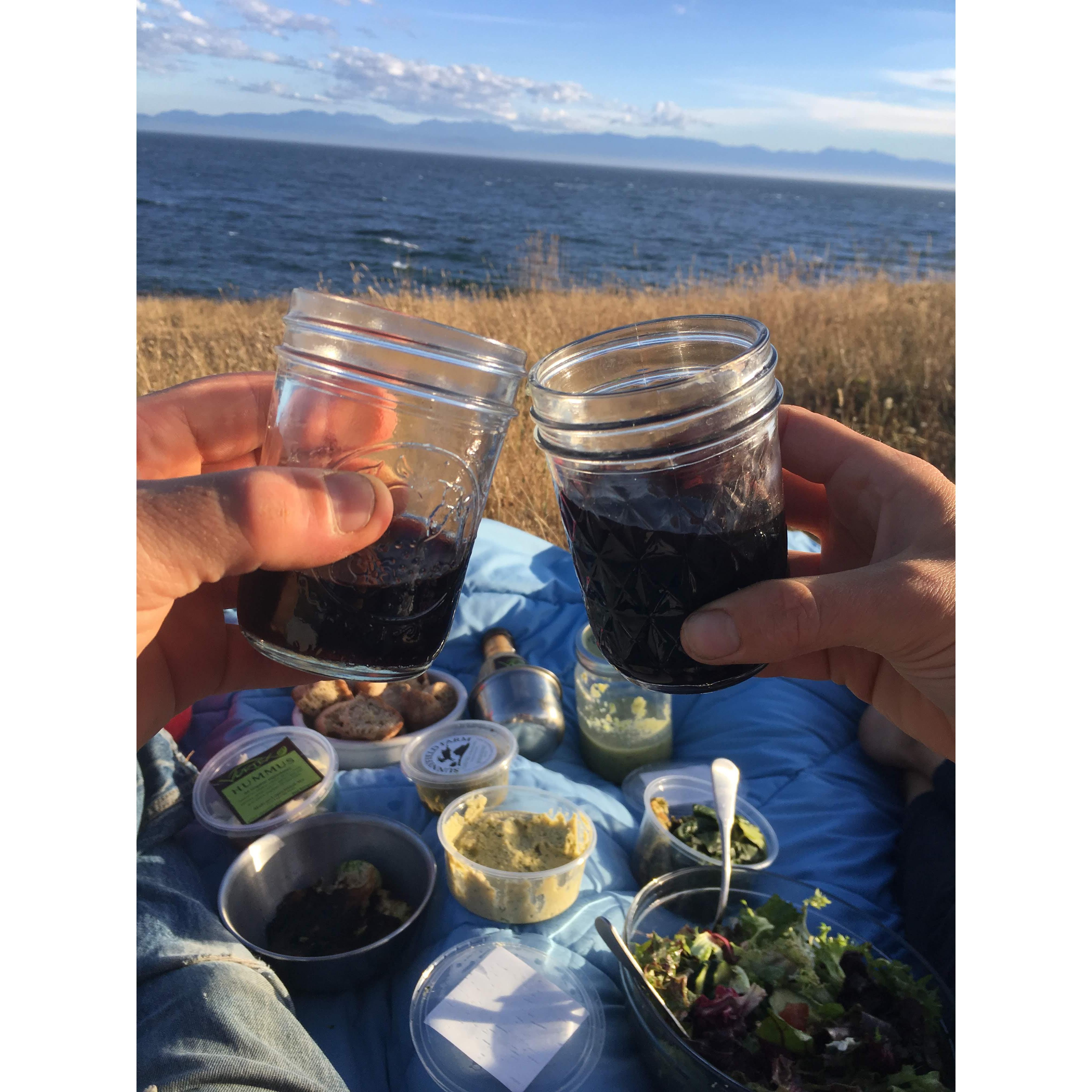 Lopez picnic feast, views of the Olympics