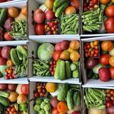 Correll Farms, LLC