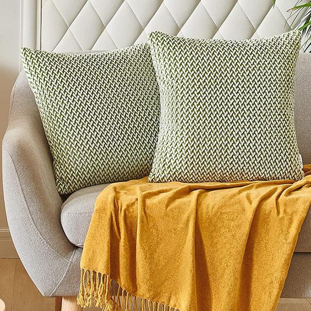 PAULEON Throw Pillow Covers Set of 2 - Kale Pillow Covers - Fluffy & Soft Decorative Pillow Covers - Pillow Covers 18x18 - Couch Pillows with Zipper - Washable Polyester