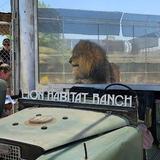 Lion Habitat Ranch inc