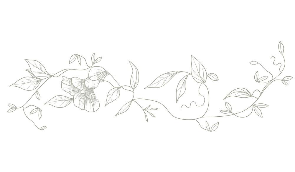 Footer image