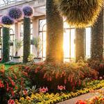 Longwood Gardens