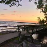 Webster Park