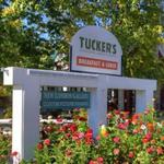 Tucker's