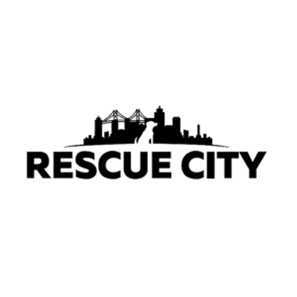 Rescue City Foster Team
