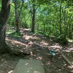 Rotary Park Disc Golf