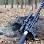 Hog Hunt