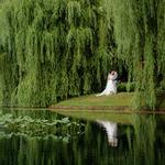 The Pond at Gervasi Vineyard