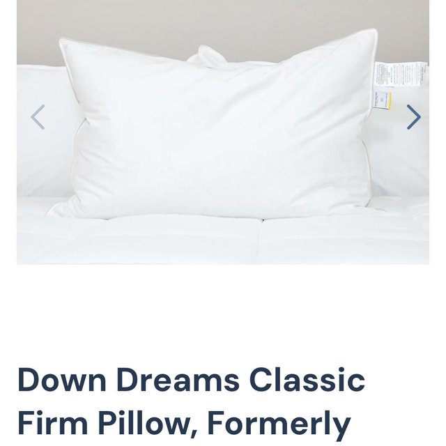 QUEEN - Down Dreams Classic Firm Pillow, Formerly Classic Too