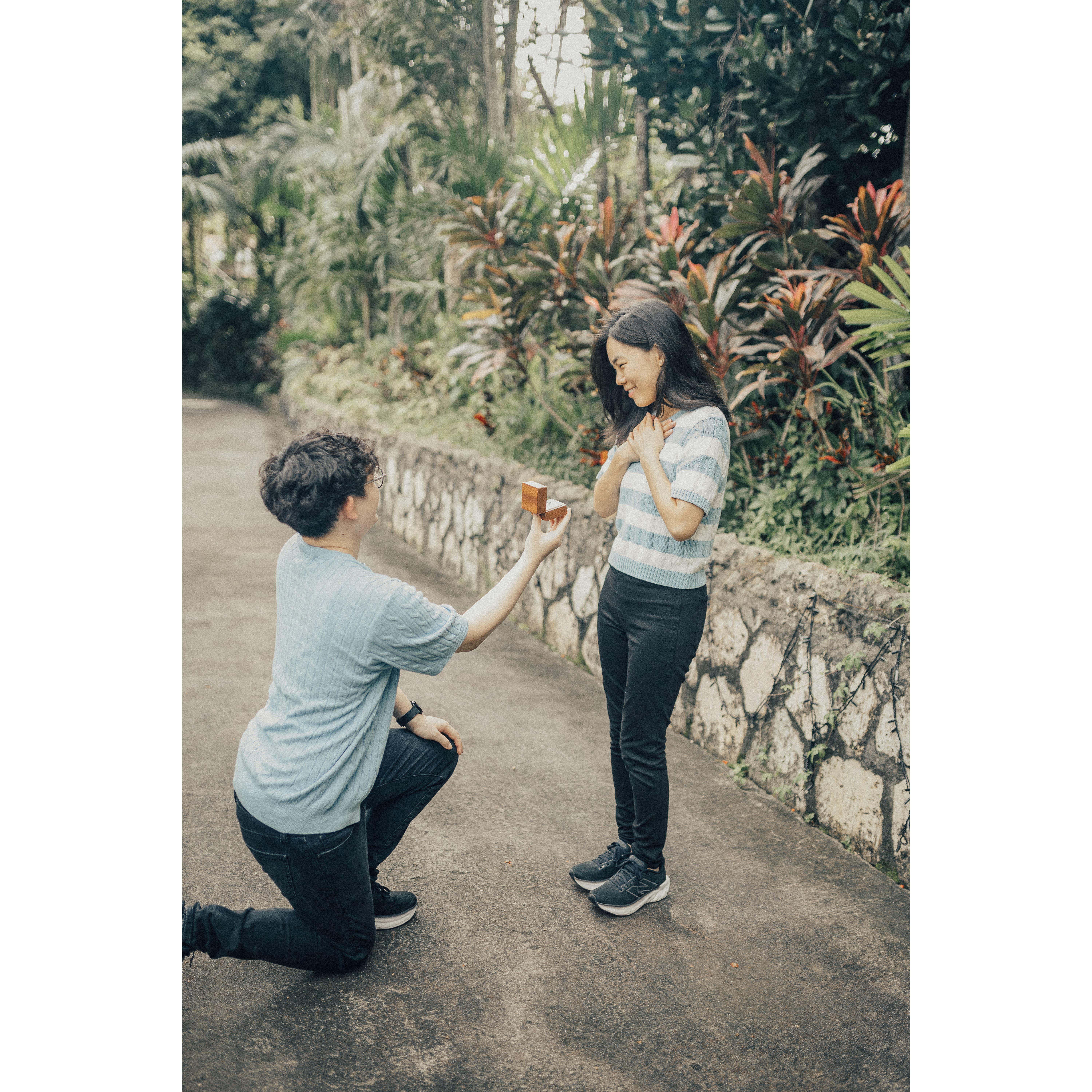 Reenactment of my surprise at his proposal the day before.